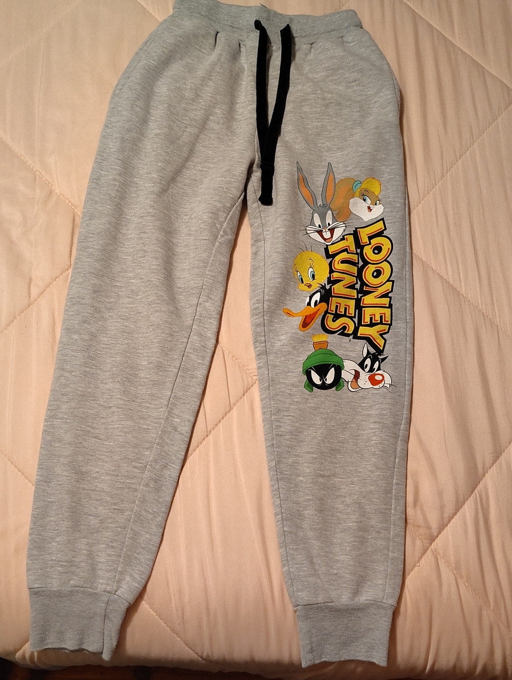 Warner Bros. Gray Joggers with Looney Tunes Character Print